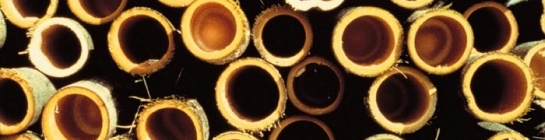 BAMBUS Feuchtegehalt Fischgrat Fladerschnitt Flechtboden Flechtboden/Würfel Fugen Fußbodenheizung Gefahrstoffverordnung Gehrung Gehrungstafel Geräuchert Giscode Grathobel Grundsiegel Holzfeuchte Heizprotokoll Hirnholz Hochkantlamellen Hobel Hohlkehl (-leisten) Holzarten Holzaufbau Holzfeuchte Holzhärte Holzpflaster Holzstaub Hygrometer Hygroskopisch Intarsien Kalken Kambium Kernholz Kitten Kleben